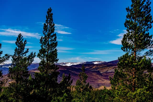 Como pode ser visto nesta fotografia, a vista do Prince Albert's Cairn é de tirar o fôlego e, nesse caso, o fotógrafo apreciou tanto o céu azul quanto as montanhas cobertas de neve.