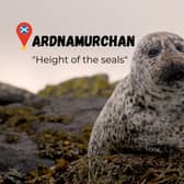 Ardnumarchan means “Height of the Seals” when translated from Scottish Gaelic. 