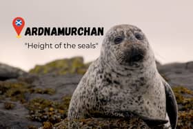 Ardnumarchan means “Height of the Seals” when translated from Scottish Gaelic. 