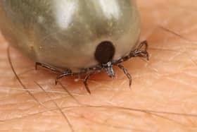 Approximately 5% of ticks are said to carry the bacteria that causes Lyme disease. This infection has been described as a ‘hidden epidemic’ so it is important to keep you and your loved ones safe. 