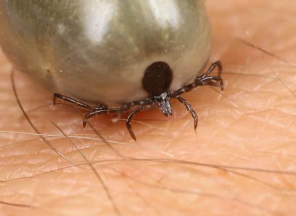 Approximately 5% of ticks are said to carry the bacteria that causes Lyme disease. This infection has been described as a ‘hidden epidemic’ so it is important to keep you and your loved ones safe.