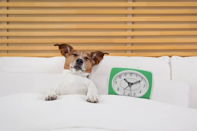 For those who are not working a night shift during the clock changes then you’ve won a watch (pun intended) as this means you can enjoy in an extra hour in bed. 