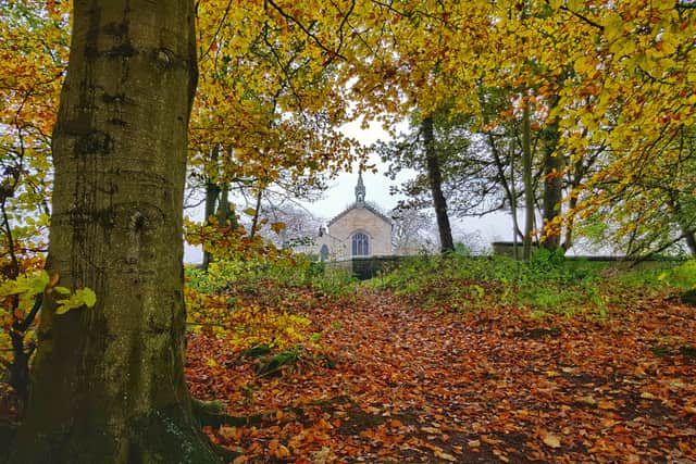 If you are driving to Dunino Den then it is recommended you first travel to the local church. Parking is available here and the trail to the den starts from this location. 