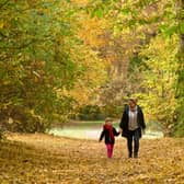 Forest walks are beneficial both to the body and mind. Here are some recommended trails near Edinburgh.