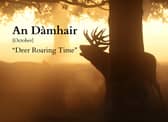 Scotland’s heritage languages hold many hidden messages that reveal insight into the natural world we live in.