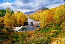 Glorious Glen Affric is a great place to go forest bathing in Scotland this autumn.