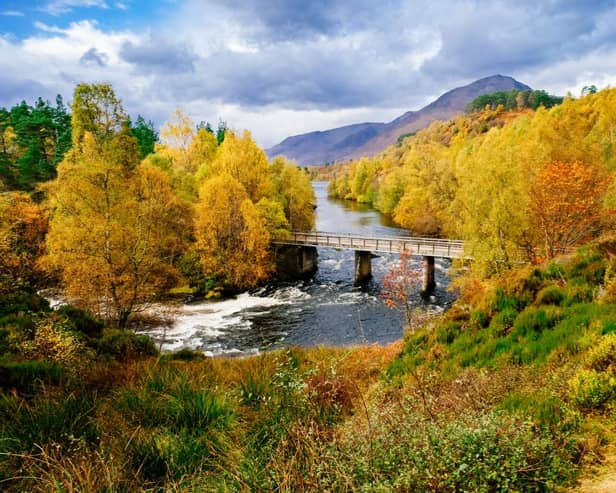 Glorious Glen Affric is a great place to go forest bathing in Scotland this autumn.