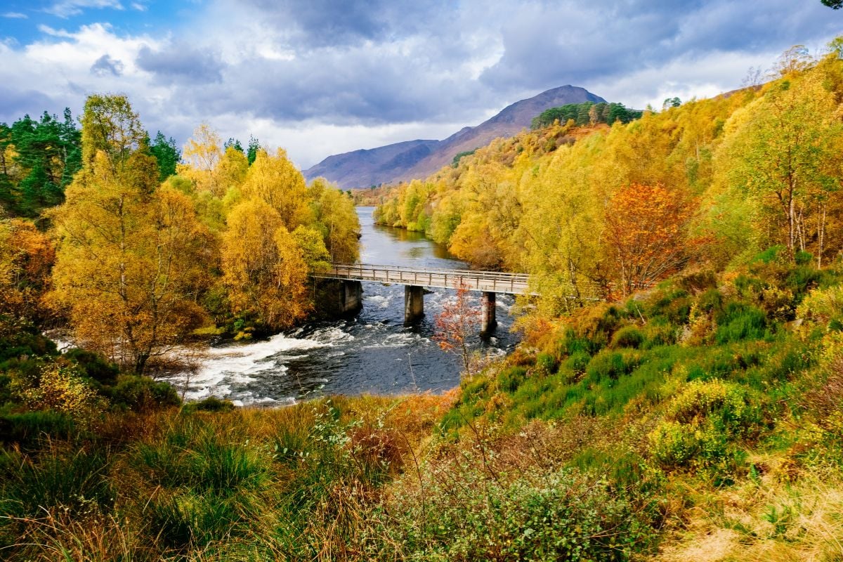 Glen Affric National Nature Reserve - All You Need to Know BEFORE You Go  (with Photos)