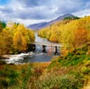Glorious Glen Affric is a great place to go forest bathing in Scotland this autumn.