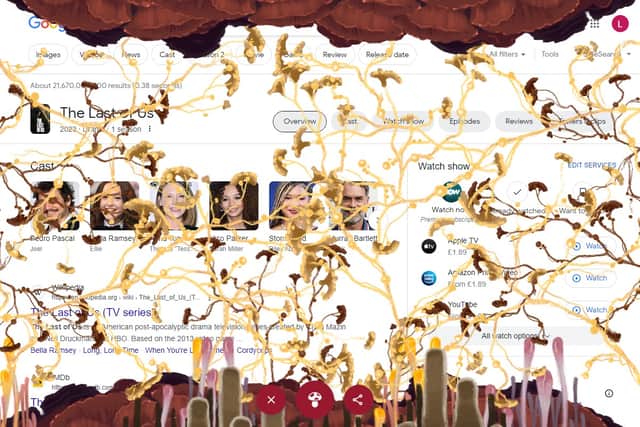 Searching for The Last of Us on Google can cause your search results to become "infected". 