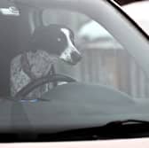 Take car while driving with your pet this winter. First up: don't let them take the wheel...
