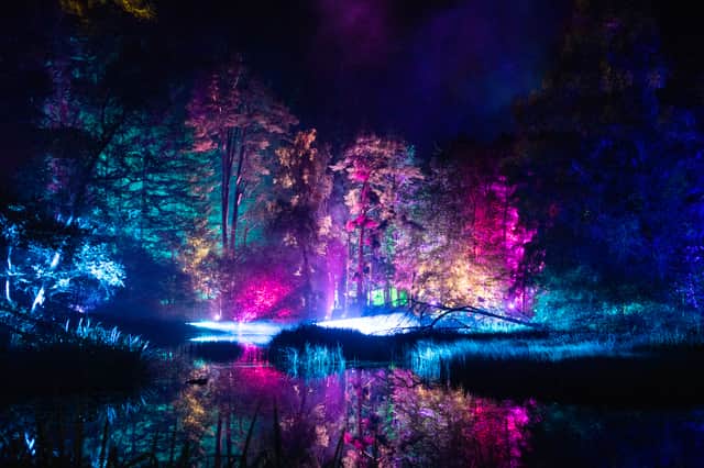 The Enchanted Forest in Perthshire will feature in Mary Berry's Highland Christmas on BBC One. Image: Lesley Martin