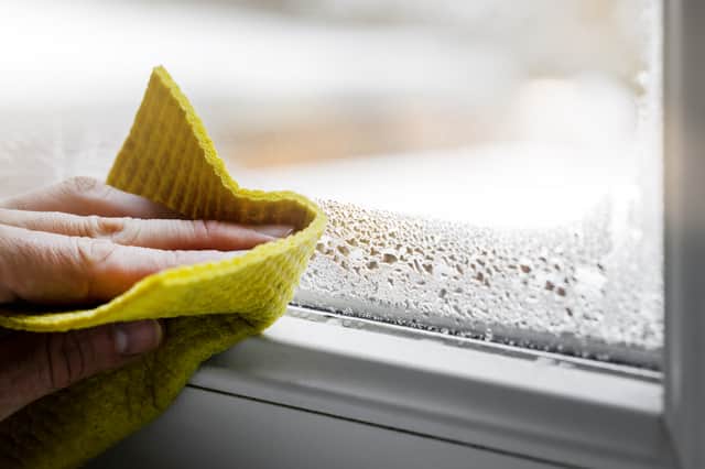 There are many ways to tackle condensation. Image: Adobe