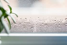 Condensation can lead to mould growth and damp. Image: Adobe