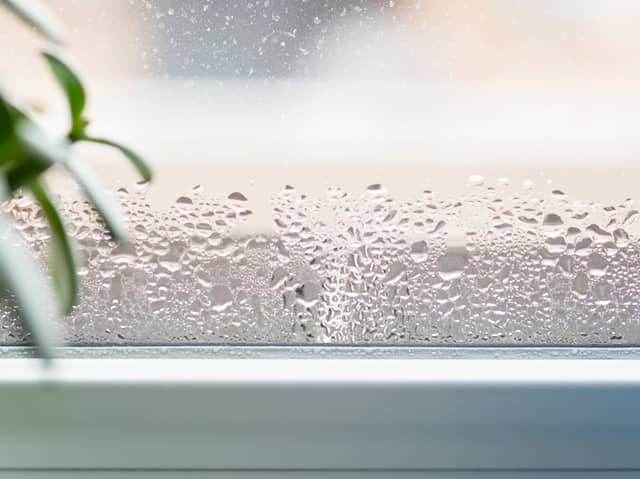 Condensation can lead to mould growth and damp. Image: Adobe