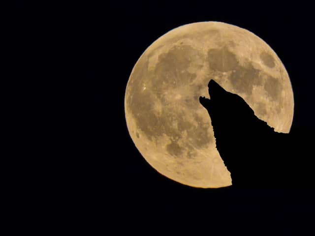 A wolf moon will appear over the UK this month.