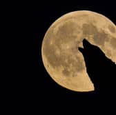 A wolf moon will appear over the UK this month.