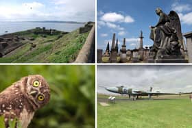 Some of the more unusual sights to see in Scotland.