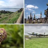 Some of the more unusual sights to see in Scotland.