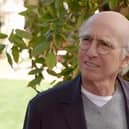 The adventures of Larry David in Curb Your Enthusiasm is coming to an end after 12 seasons.