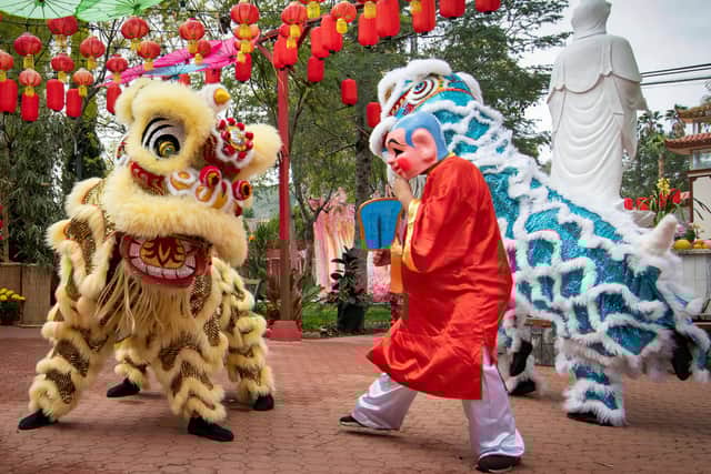 lion chinese new year