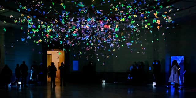 A Spectra display inside Aberdeen Art Gallery. Image: Ian Georgeson