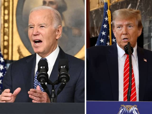 Donald Trump and Joe Biden look set to battle it out again for the American presidency this year.