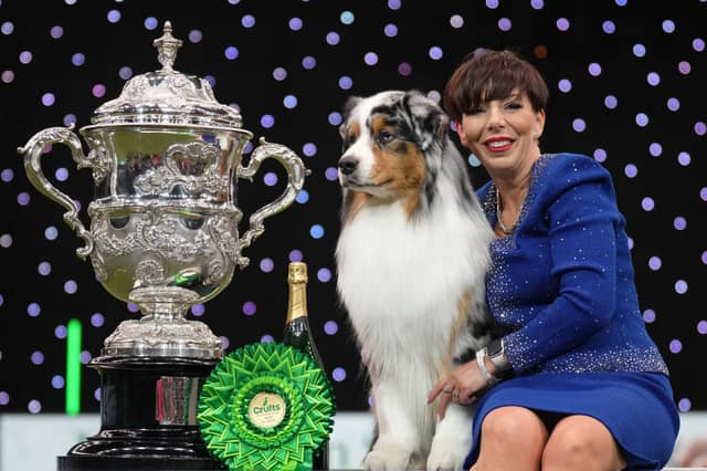 Co-owner Melanie Raymond with Best in Show winner Viking the Australian Shepherd.