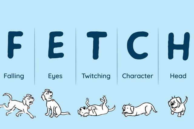 The acronym F.E.T.C.H. is an easy way to remember symptoms of a stroke in dogs.