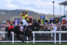 Jockey Paul Townend celebrates on Galopin Des Champs after winning the Cheltenham Gold Cup in 2023. The horse will be back to defend its title this year.