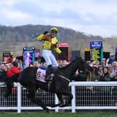 Jockey Paul Townend celebrates on Galopin Des Champs after winning the Cheltenham Gold Cup in 2023. The horse will be back to defend its title this year.