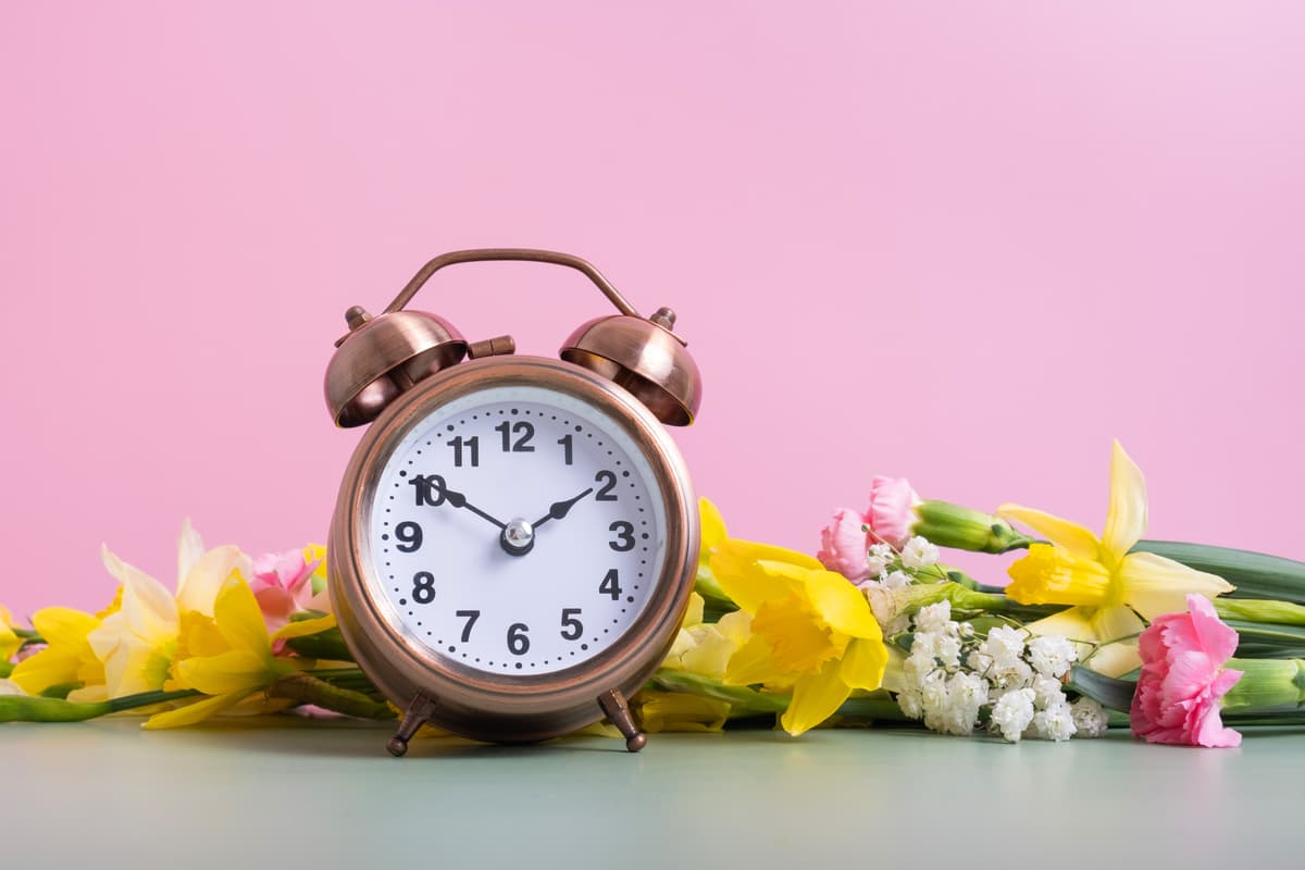 When Do The Clocks Go Forward 2025 Uk 2025