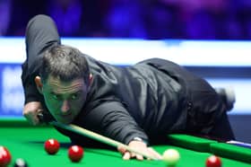Ronnie O'Sullivan has made a fortune from snooker.