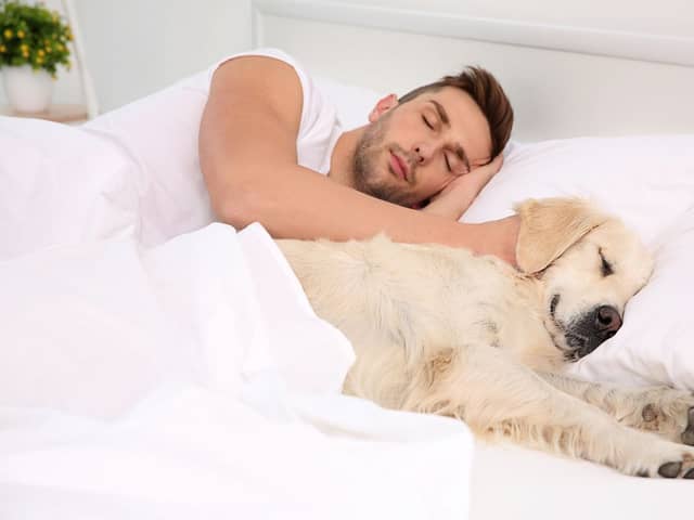 A few tips can minimise the negatives of sharing your bed with a four-legged friend.