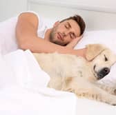 A few tips can minimise the negatives of sharing your bed with a four-legged friend.