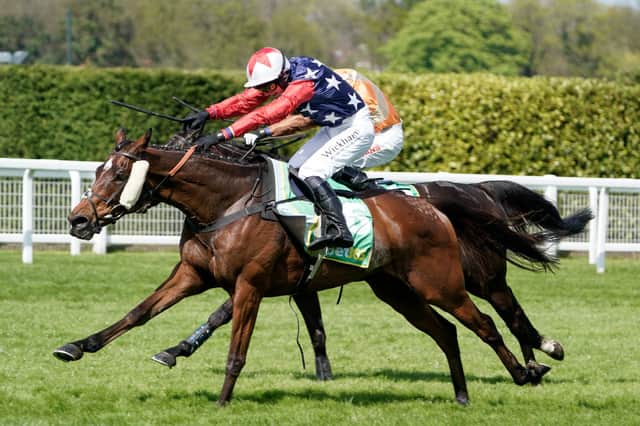 Kitty's Light won the 2023 Scottish Grand National before taking the Gold Cup a week later.