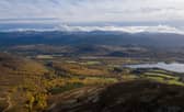 The trees have been lost at the Lost Forest on the Kinrara estate, west of Aviemore 
