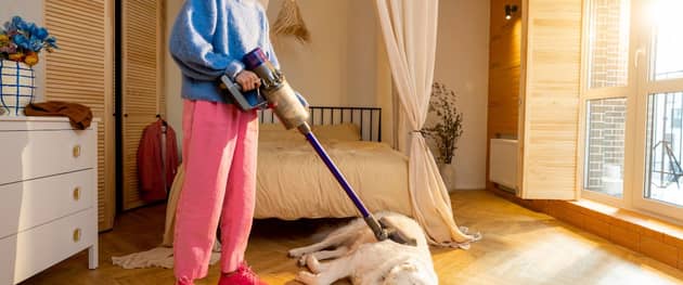 Keeping on top of the cleaning can be a tricky prospect for dog owners.