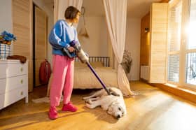 Keeping on top of the cleaning can be a tricky prospect for dog owners.