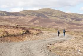 A road has been built through where the John Buchan Way goes to support large vehicles heading to the conifer plantation 