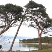 A view on the John Muir Way towards Dunbar. Picture: Katharine Hay