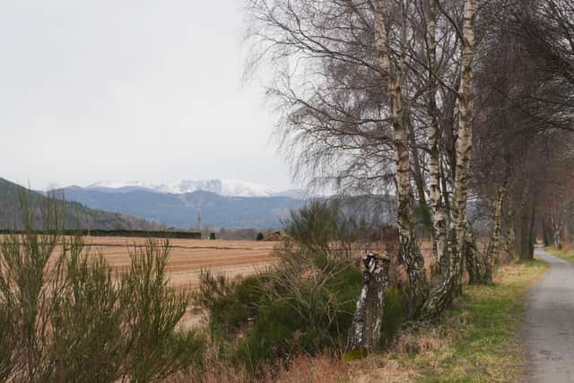 You can see the snow-capped Cairngorms from the Deeside Way 