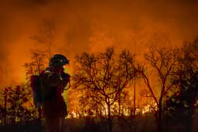 Firefighters battle a wildfire. Picture: Getty Images