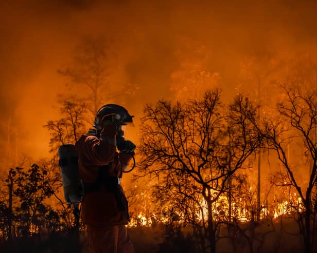 Firefighters battle a wildfire. Picture: Getty Images
