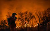 Firefighters battle a wildfire. Picture: Getty Images