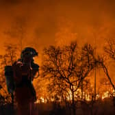 Firefighters battle a wildfire. Picture: Getty Images