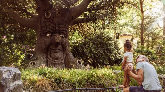 Holland's Efteling, an altogether less expensive family trip out
