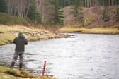 I learnt a lot about the state of the rivers and the salmon population in Aberdeenshire while walking along the river Dee for several days. One ghillie, Robert Harper, was particularly helpful at sharing his insight and local knowledge of the area having worked on the river for almost 50 years. A fisherman who I met with told me the salmon is like the canary in the coal mine for other species that rely on the river, including humans; if they go, others will too. There are multiple reasons playing into the demise of the Atlantic salmon, including human activity at sea, rivers warming, and seals swimming upstream. Despite ghillies and those in the fishing community shouting for some time about better protection of the salmon, it seems there's been a lack of urgency from government. 
