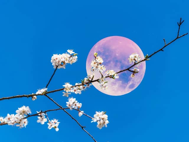 The May full moon is called the Flower Moon.