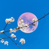 The May full moon is called the Flower Moon.